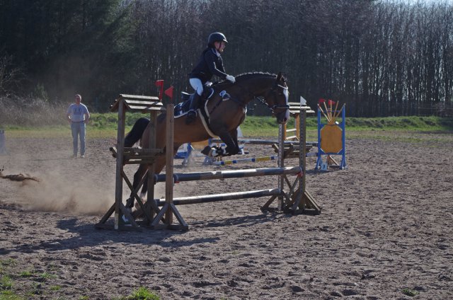 Reitertag_2019